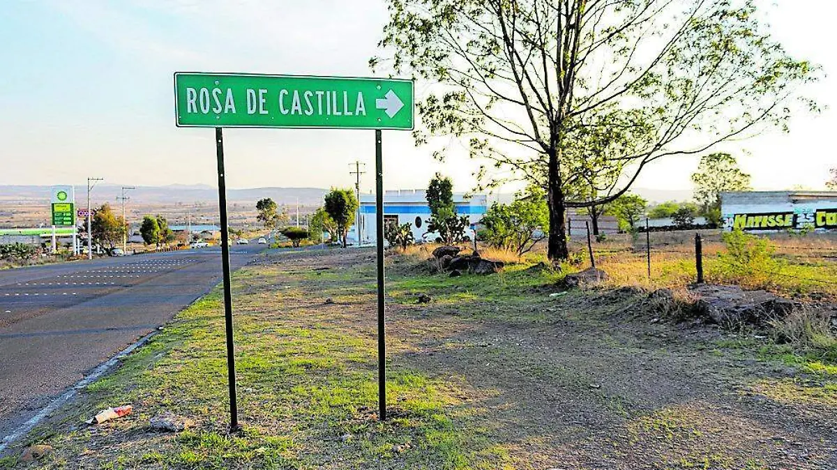 Drenaje Rosa de Castilla